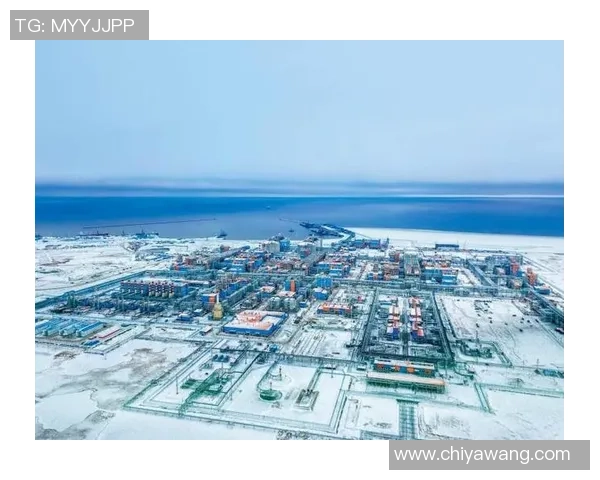 亚马尔地区的资源开发与国际合作前景分析与展望