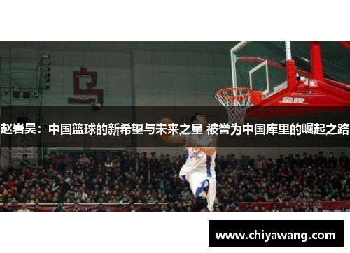 赵岩昊：中国篮球的新希望与未来之星 被誉为中国库里的崛起之路