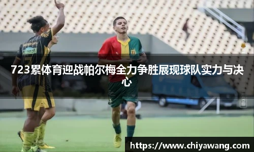 TVT体育官方网址