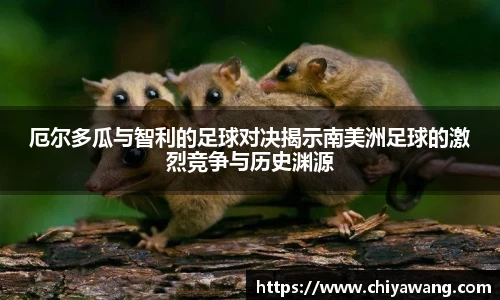 TVT体育官方网址